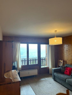 Bellevue PLEASANT & COMFORTABLE apartments